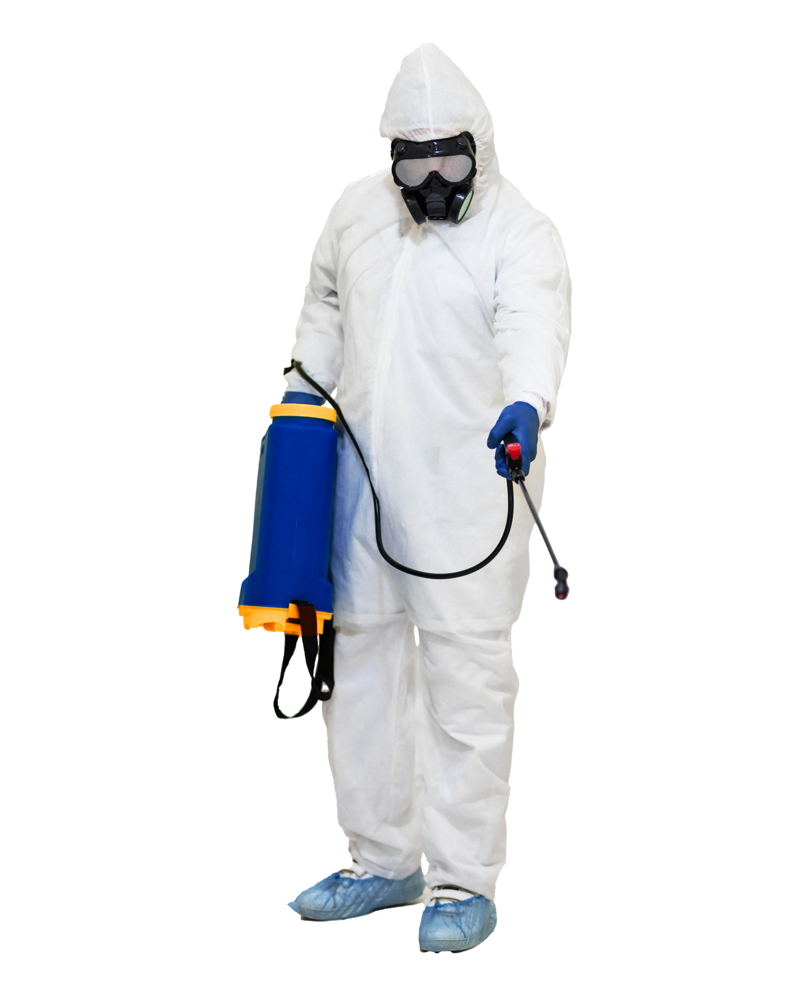 Основное изображение